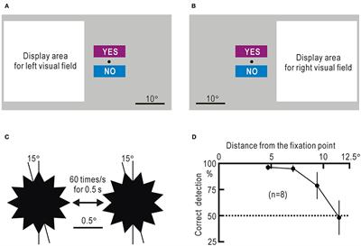 Visual Field Test With Gaze Check Tasks: Application in a Homonymous Hemianopic Patient Unaware of the Visual Defects